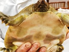 -廣味潮鲜·一品潮滋味(五道口店)