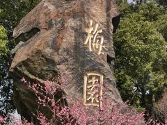 -无锡梅园公园