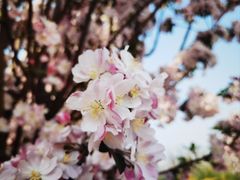 -天津东丽湖风景区