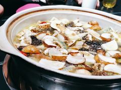 -野菌皇海景野生菌火锅(滨海大道店)