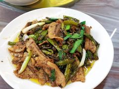 -铁山坪森林公园