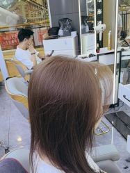 -藤野造型