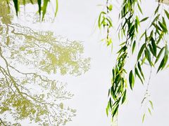 -广富林郊野公园