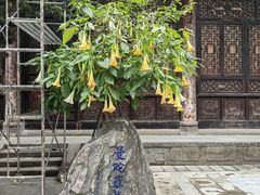 -古大圣慈寺