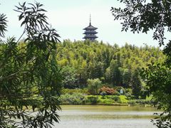 -宜兴龙背山森林公园