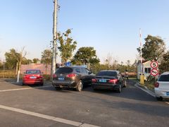 -春花秋色城市公园