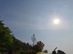 -浙江农林大学(东湖校区)