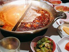 -九鼎轩脆毛肚火锅(三钢里店)