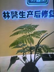 -Dr.林醫生产后修复·配方产康(南京江宁万达店)