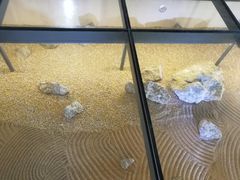 -黄金博物馆