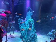 -沈阳海洋探索中心