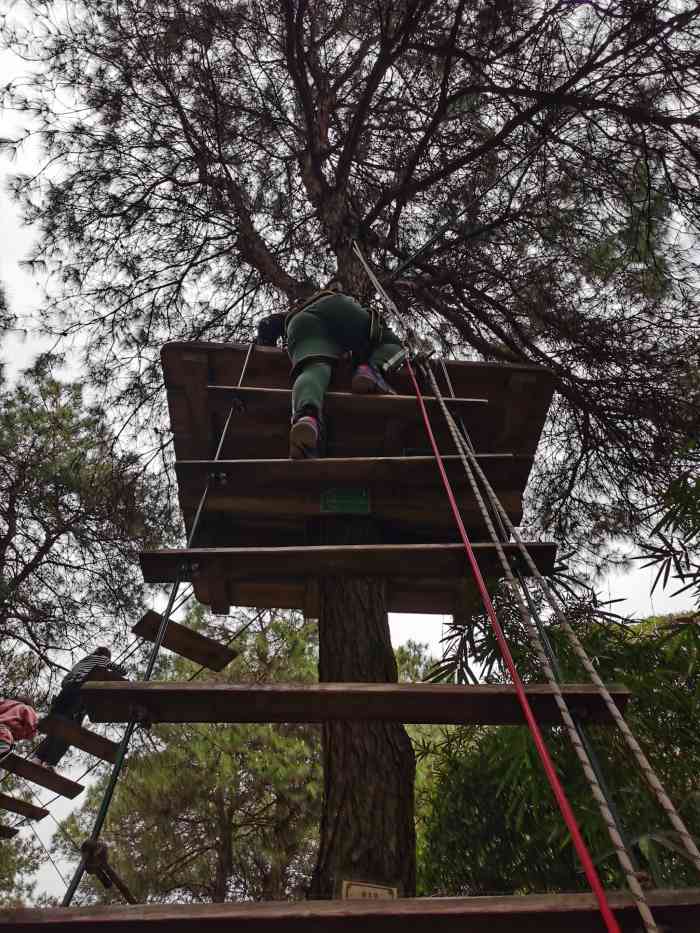 重庆玉峰山飞越丛林图片