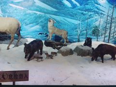 -呼伦贝尔民族博物馆