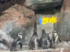 -福州罗源湾海洋世界旅游区