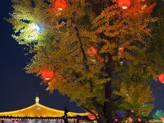 -大雁塔北广场音乐喷泉