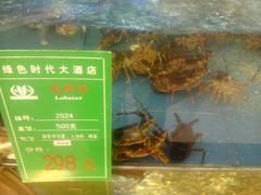 -绿色时代大酒店