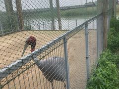 -盐城丹顶鹤湿地生态旅游区