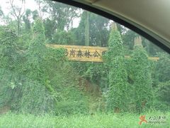 007-马岗私房菜