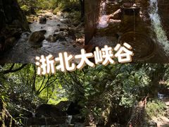 -阿露佳·舌尖上的安吉菜