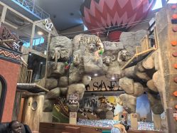 点击看大图 -卡通尼·Safari非洲探索乐园·生日会(金桥国际商业广场店)