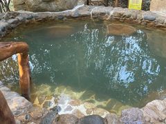 -观唐（国际）度假村温泉