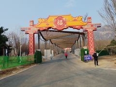 -北京凤凰岭