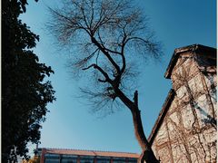 -上海影视乐园