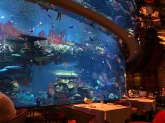 -迪拜帆船酒店海底餐厅