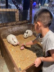 -酷嗒动物文化乐园(cutezoo西溪乐天城店)