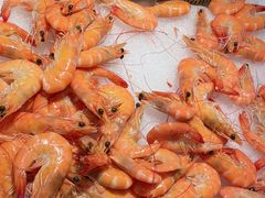 -星伦多自助料理·涮烤一体(嘉兴八佰伴店)