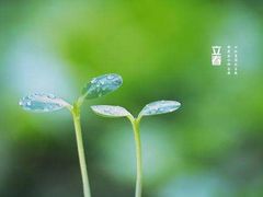 -金子小一一儿童军校幼儿园(德望里分园)