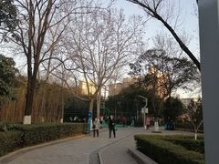 -西安市长乐公园