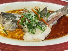 -院里寻菜·精致庭院菜(观沙岭店)