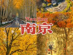 -香山公园