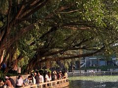 -荔湾湖公园