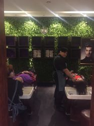 -Z.X HAIR SALON张新美业