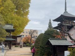 -医王山·飞騨国分寺