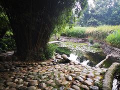 -成都市活水公园