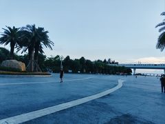 -宝安西湾红树林湿地公园