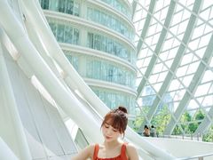 -凤凰中心