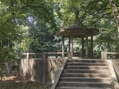 -紫霞湖公园