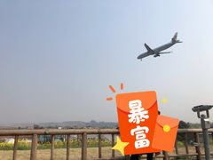 -空港花田景区