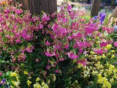 -人民公园(罗湖区)