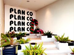 -PLAN CO