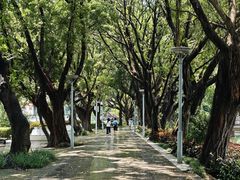 -荔湾湖公园