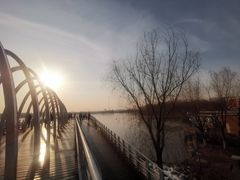 -大兴滨河森林公园