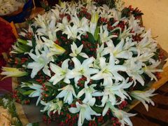 -好芙利·生日蛋糕(迎泽街店)