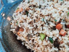 -蘑统田下·野生菌火锅