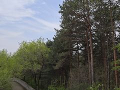-玉泉威虎山森林公园