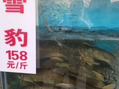 -高坎一品甲鱼庄(两河店)